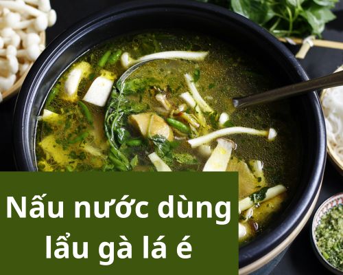 nau-nuoc-dung-lau-ga-la-e