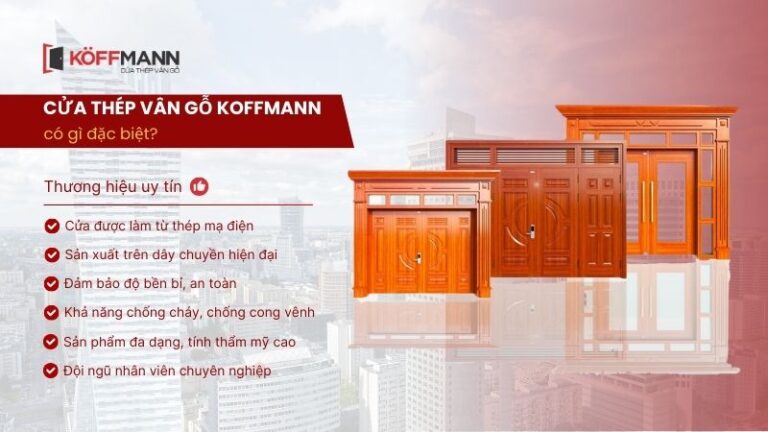 cửa thép vân gỗ cao cấp tại Tiền Giang